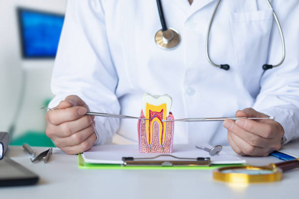 Best Emergency Root Canal Therapy in Mcfarland, CA